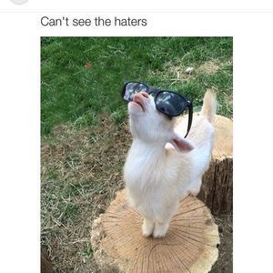 Meet your Posher, Tanner